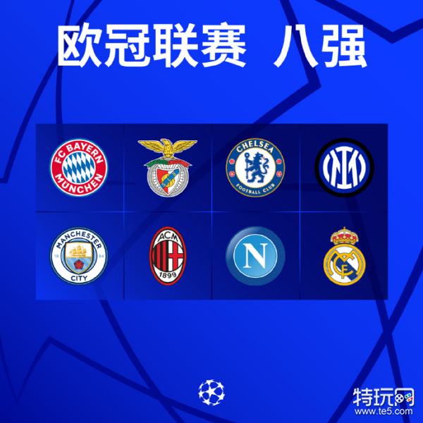 引发成员国