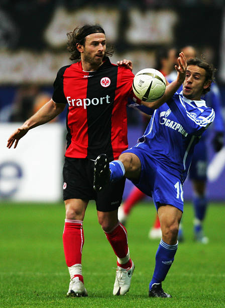 篮球迷们将 篮球迷们将